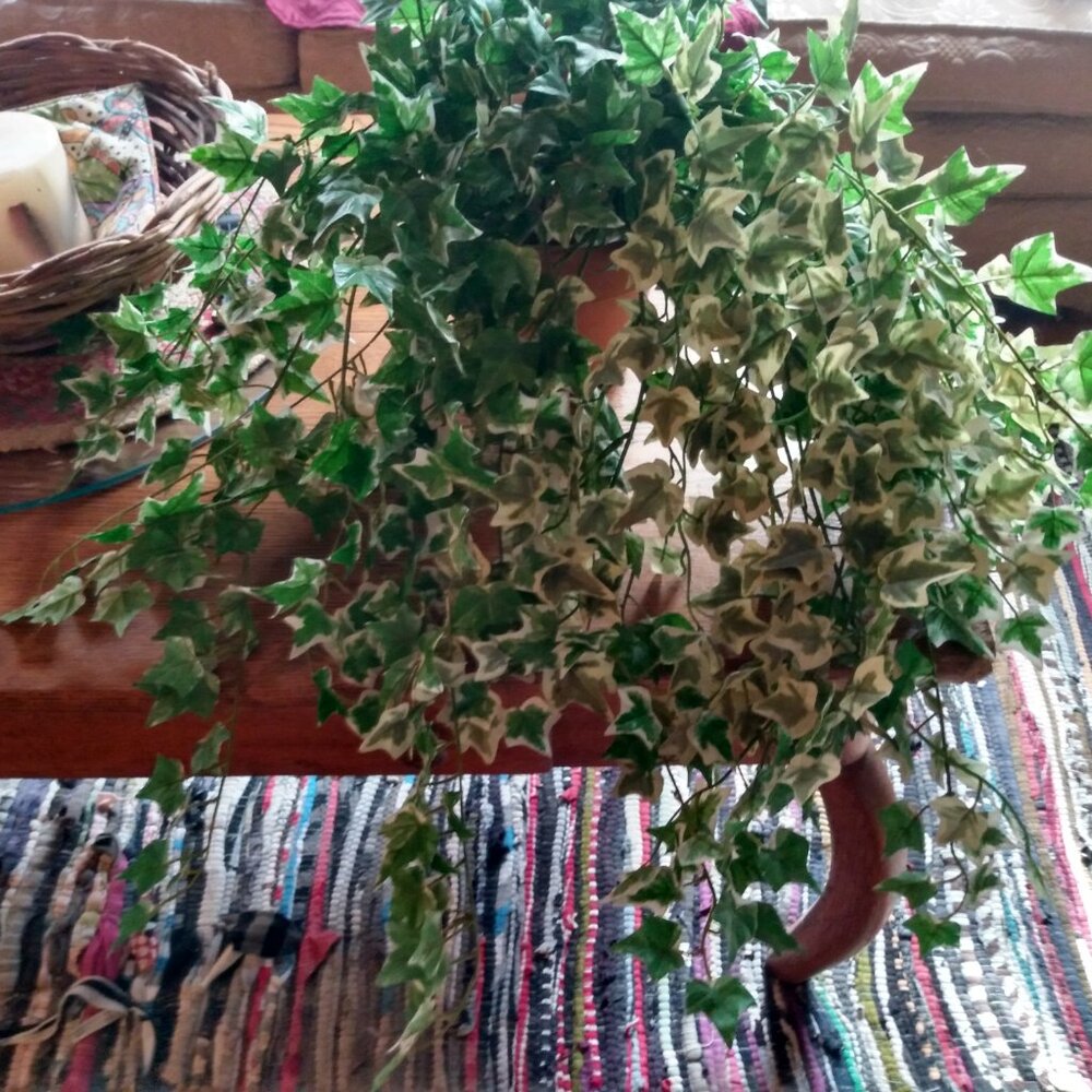 Artificial Faux English Ivy Potted Plant